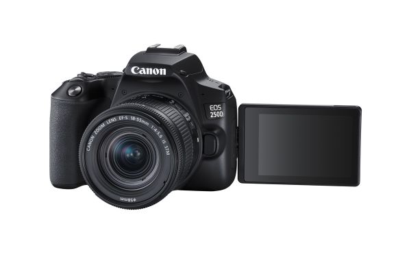 Canon EOS 250D+EF-S 18-55 mm IS STM Kit